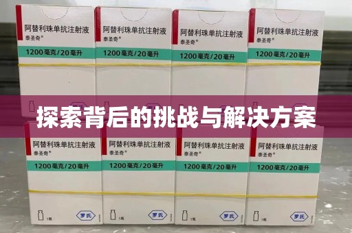泰安探索背后的挑战与解决方案