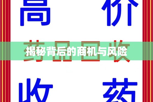 泰安揭秘背后的商机与风险
