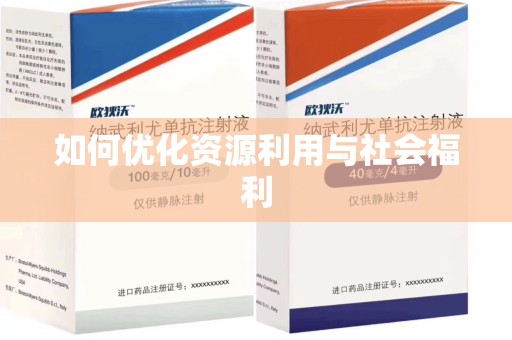 泰安如何优化资源利用与社会福利