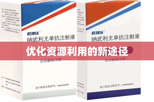 泰安优化资源利用的新途径