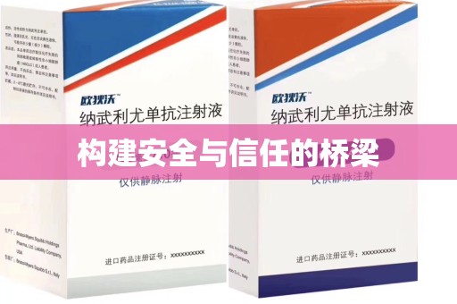 泰安构建安全与信任的桥梁