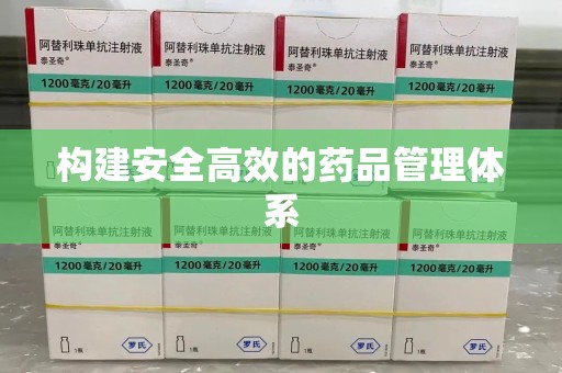 泰安构建安全高效的药品管理体系