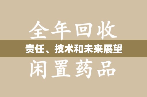 泰安责任、技术和未来展望