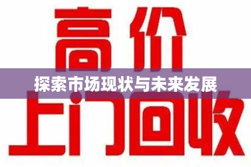 泰安探索市场现状与未来发展