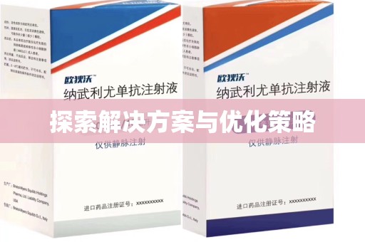 泰安探索解决方案与优化策略