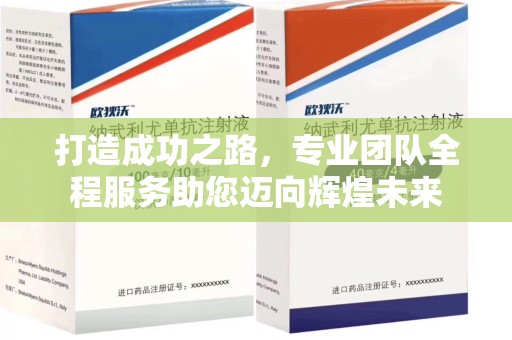 泰安打造成功之路，专业团队全程服务助您迈向辉煌未来