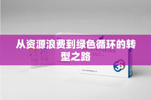泰安从资源浪费到绿色循环的转型之路