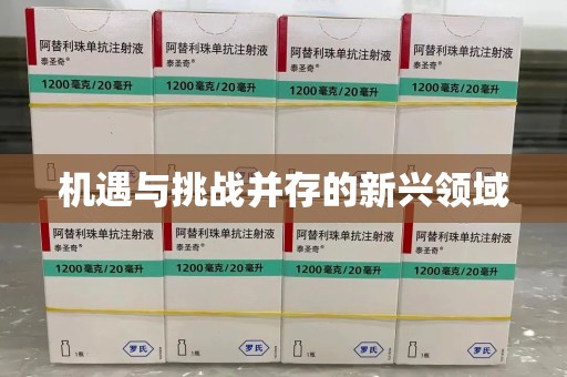 泰安机遇与挑战并存的新兴领域