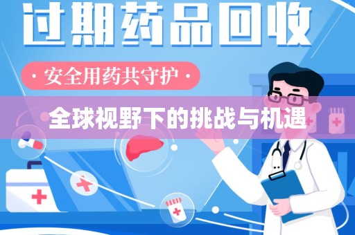 泰安全球视野下的挑战与机遇