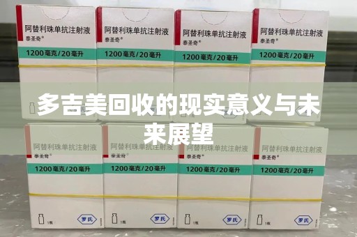 泰安多吉美回收的现实意义与未来展望