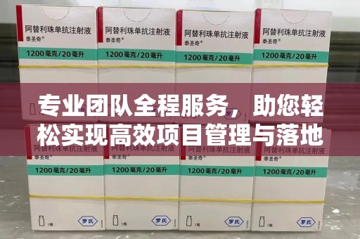 泰安专业团队全程服务，助您轻松实现高效项目管理与落地
