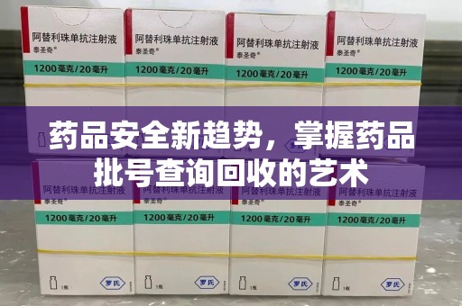 泰安药品安全新趋势，掌握药品批号查询回收的艺术