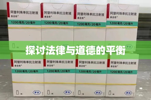 泰安探讨法律与道德的平衡