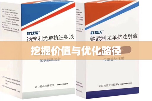 泰安挖掘价值与优化路径