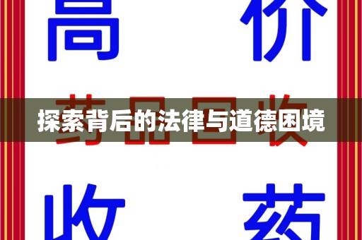 泰安探索背后的法律与道德困境